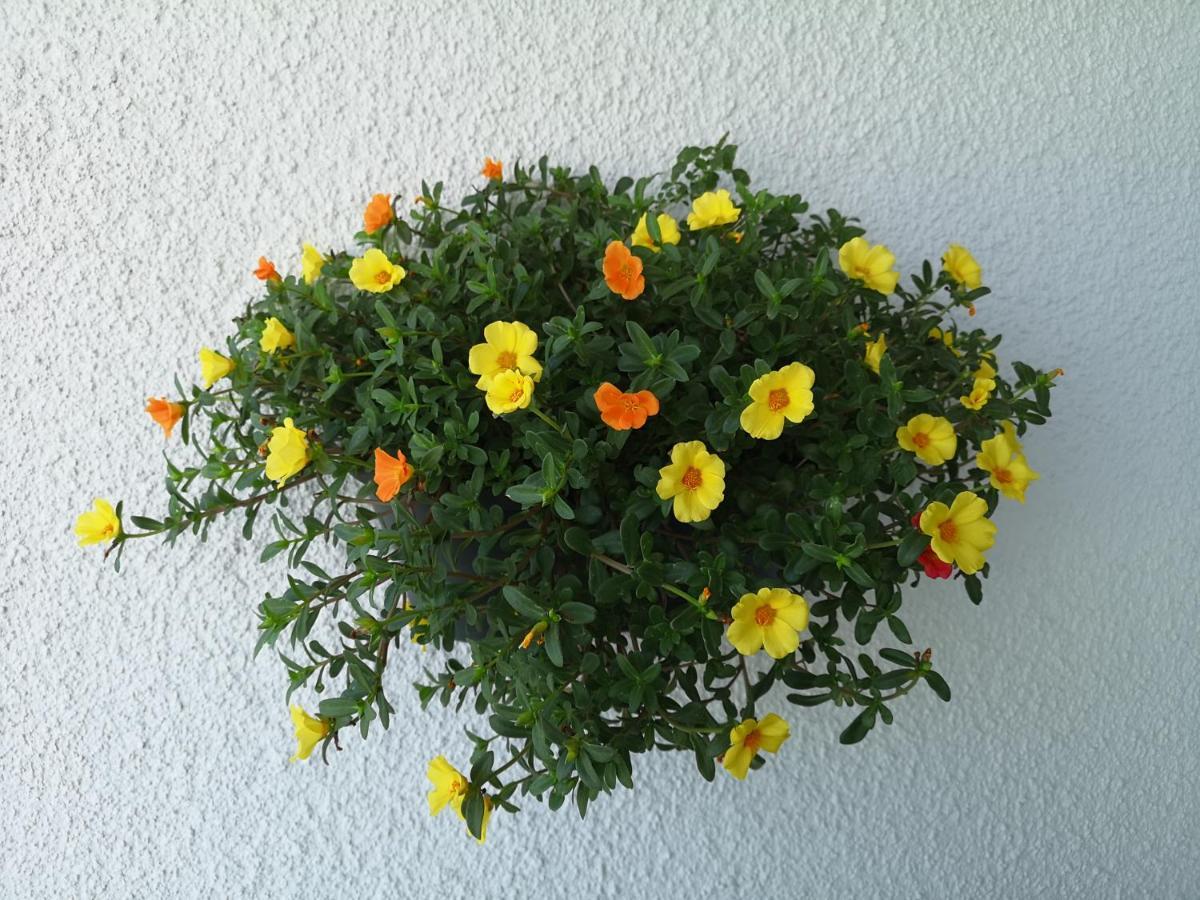 פרוטאראס Green Bay Penthouse 2 מראה חיצוני תמונה